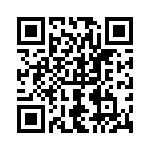 0294100-T QRCode