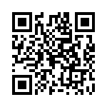 0295080-H QRCode