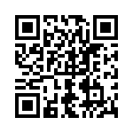 0295100-T QRCode