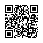 0311333 QRCode