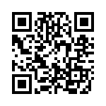 0313-375H QRCode