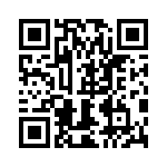 0380021333 QRCode