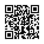 0387251405 QRCode