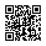 0387406307 QRCode