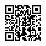 0387601704 QRCode