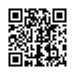 0391001309 QRCode