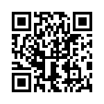 0395032017 QRCode