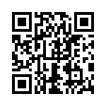 0399200307 QRCode