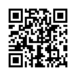 0399200810 QRCode