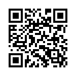 04023C391JAT2A QRCode