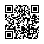 04025C392JAT2A QRCode