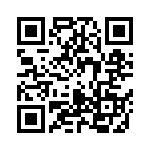 0402N391J500CT QRCode