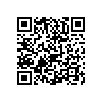 0505J3001P90BQT QRCode