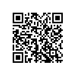 0505Y1001P20DQT QRCode