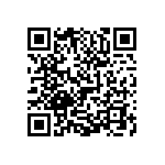 0505Y2004P00DQT QRCode