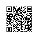 0505Y2500110FQT QRCode