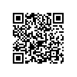 0505Y2501P00CQT QRCode