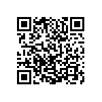 0505Y250P300DQT QRCode