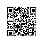 0505Y3006P80BQT QRCode