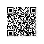 0505Y3006P80DQT QRCode