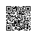 0505Y300P200BQT QRCode