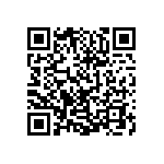 0505Y300P300DQT QRCode