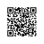 0505Y300P400BQT QRCode