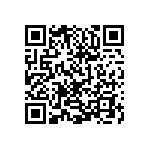 0505Y300P700BQT QRCode