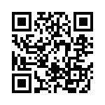 06031A271F4T2A QRCode