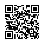 06033C333K4T2A QRCode