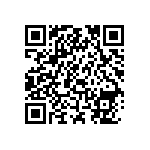 0805J3001P90DQT QRCode