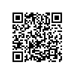 0805Y300P400DQT QRCode