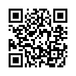 09030006133 QRCode