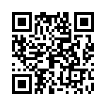 09110006156 QRCode