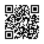 09110006263 QRCode