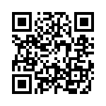 09110013111 QRCode