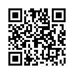 09185305913001 QRCode