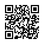 09195407903001 QRCode