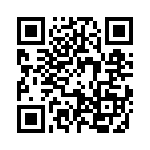 09300161295 QRCode