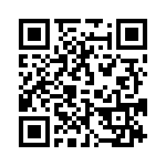 095041009300 QRCode