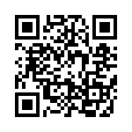 095516309110 QRCode