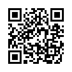 09670250613 QRCode