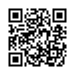 1-1605403-1 QRCode