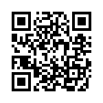 1-1623838-1 QRCode