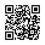 1-1624192-1 QRCode