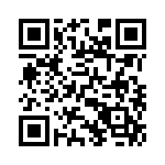 10-87332-5P QRCode