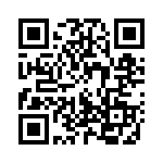 100038-1 QRCode