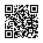 100132-1 QRCode