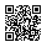 100310 QRCode