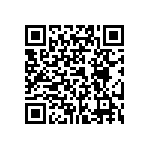 1004P1T8B13M2QEH QRCode